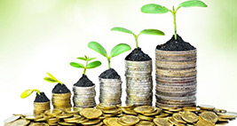 Sostenibilità è la parola chiave dell’investimento intelligente